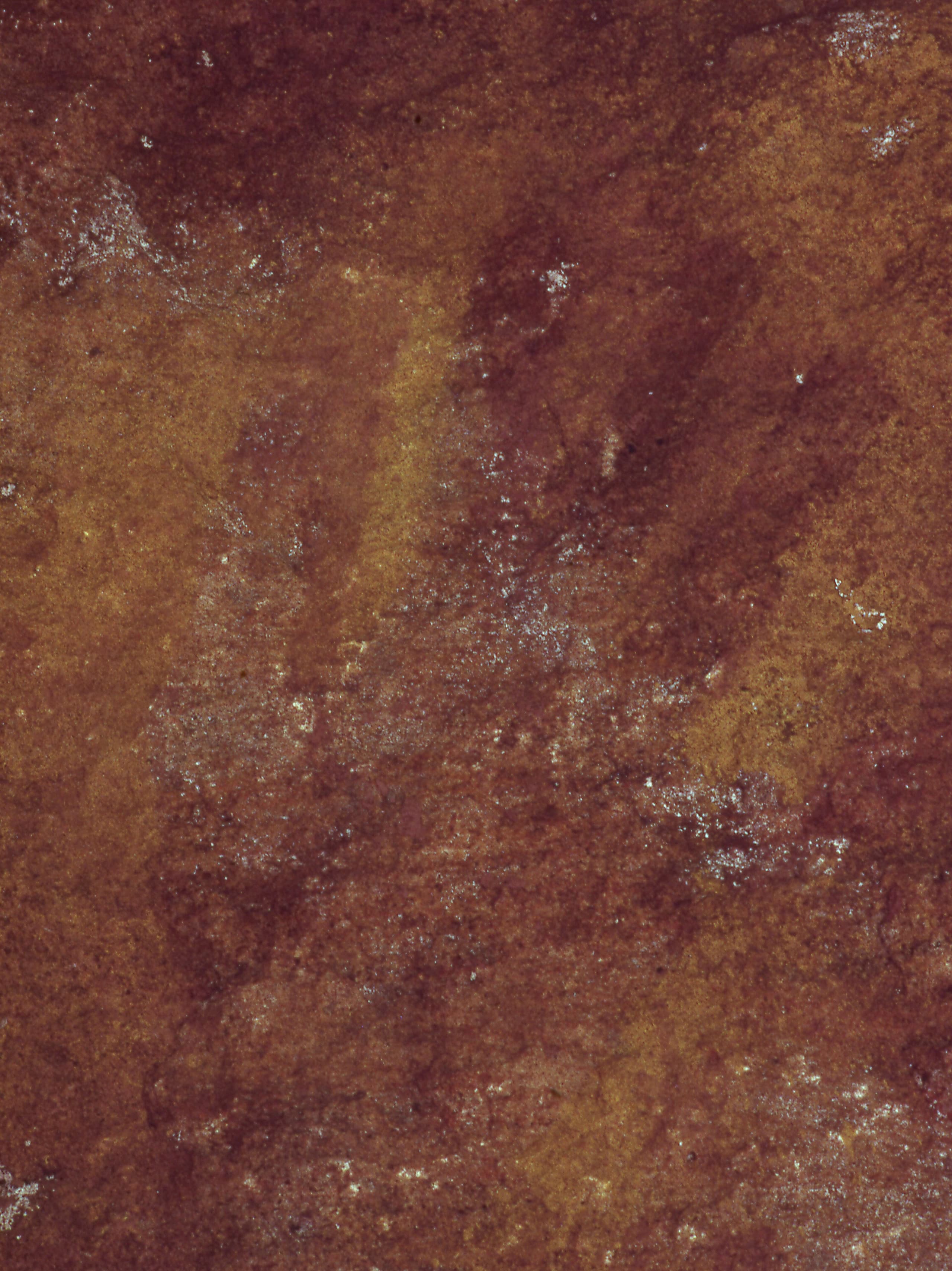 An animal shown in profile with its internal skeleton, organs and fat deposits visible inside the body outline, painted in ochre on a curved sheet of bark with fine cross-hatched patterns filling the torso.