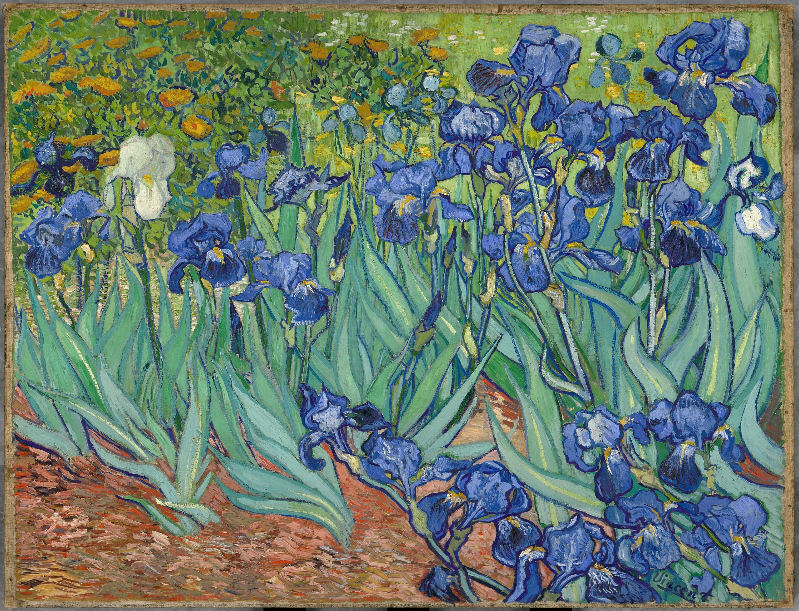 A dense cluster of blue-violet irises and green leaves fills the canvas, cut off by the edges. Red-orange earth runs below; yellow flowers stand in a band behind.