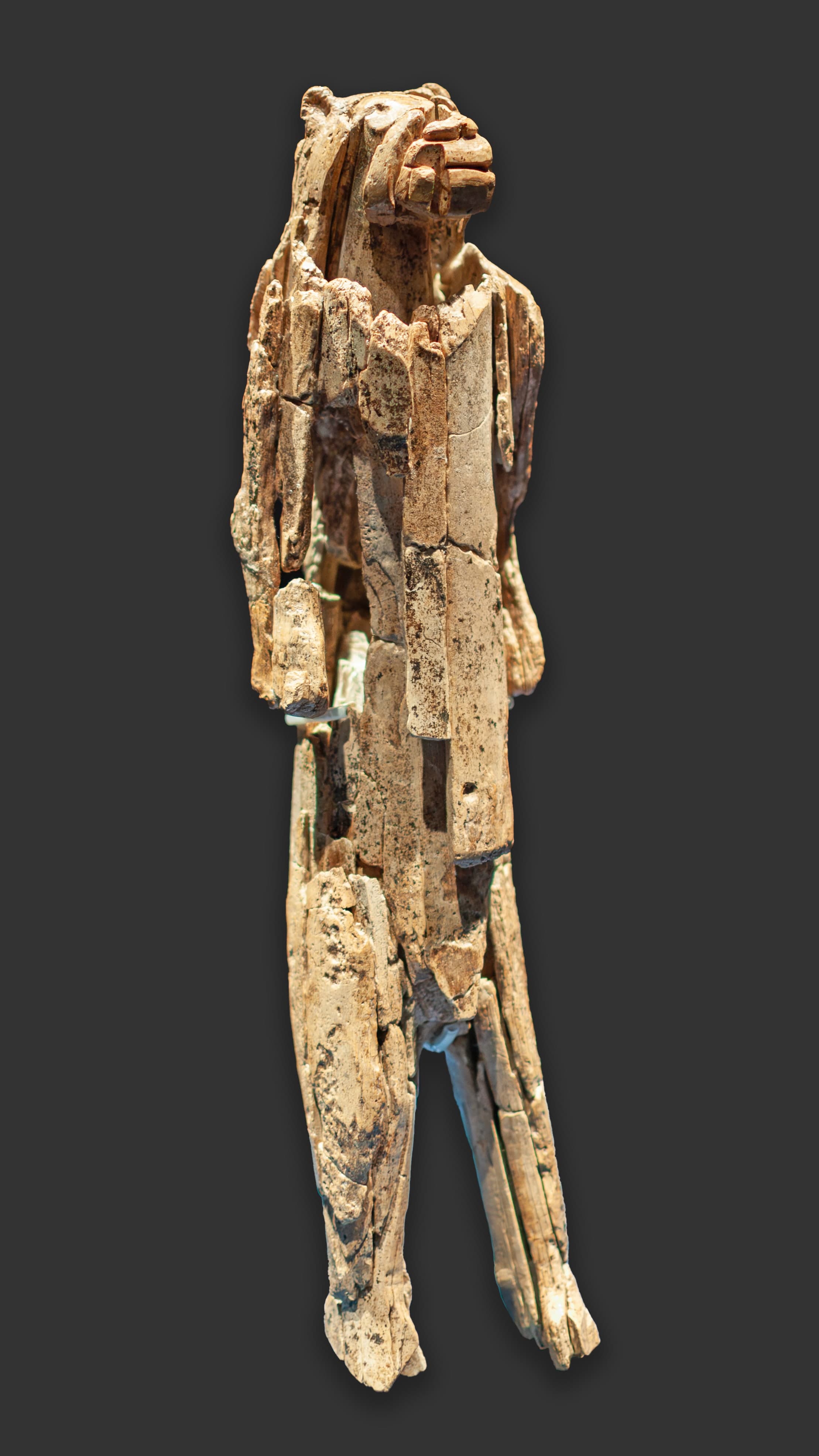A tall, slender ivory figurine stands upright: a lion’s head and ears above a simplified human torso, arms and legs, the surface worn to a warm brown-cream.