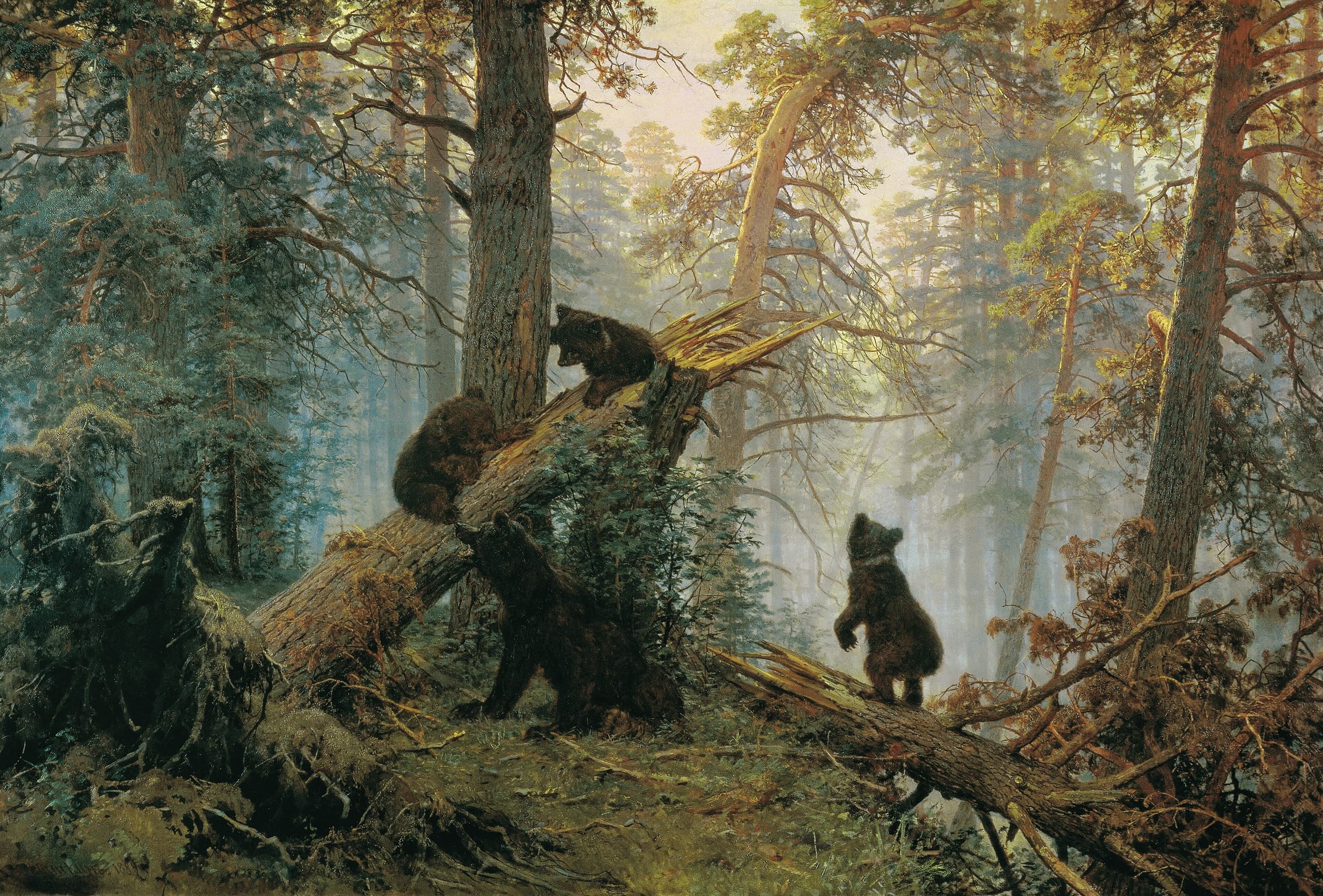 A wide oil landscape of a pine wood, with a family of bears among the trees under morning light, painted on a canvas broader than it is tall.