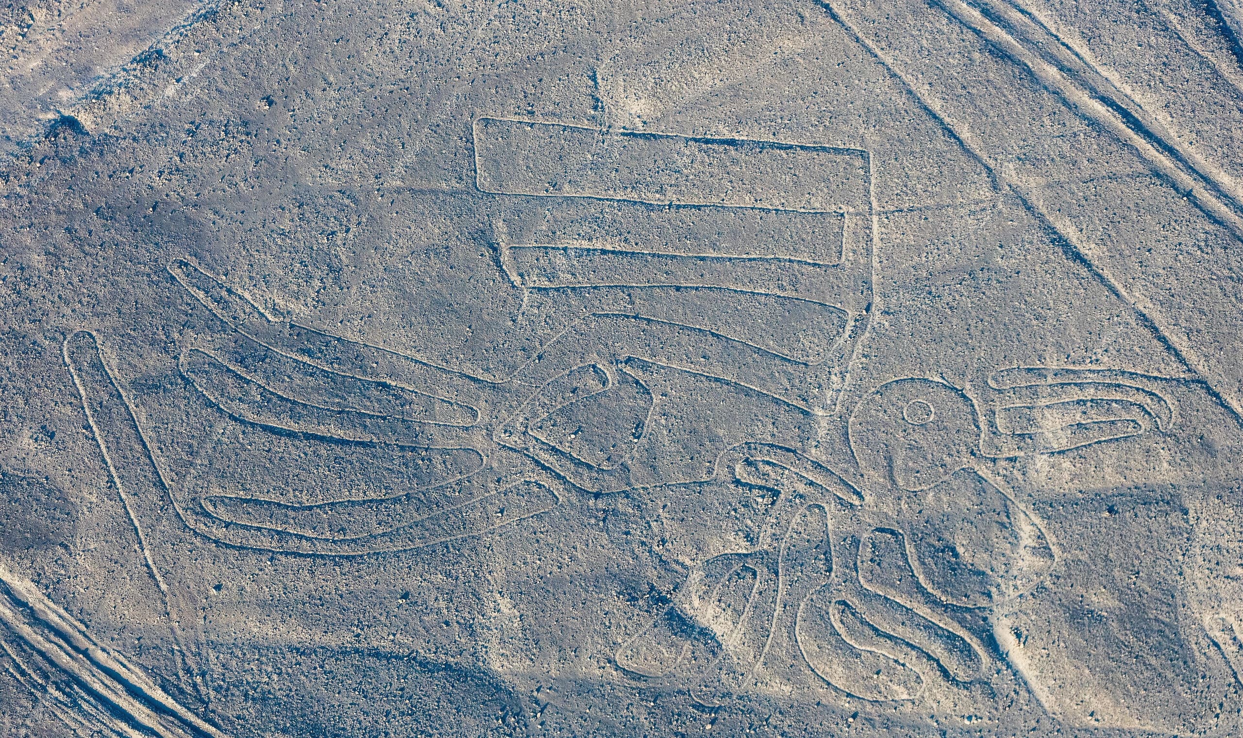 Aerial view of a pale line cleared into reddish-brown desert, forming the shape of a hummingbird with outstretched wings and a long beak. The figure is made from a single continuous path.