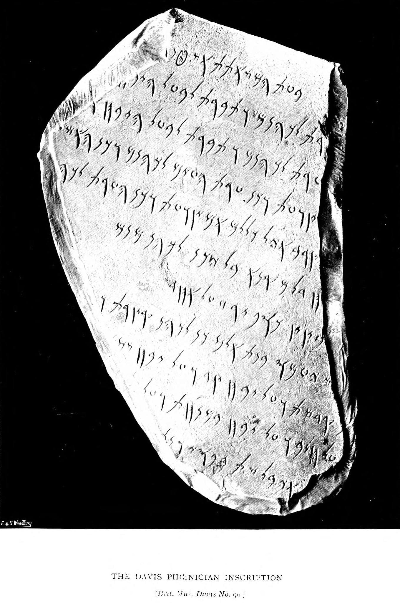 Fragments of a limestone stela inscribed with eleven lines of Punic script, angular letters reading right to left, carved into the pale stone surface.