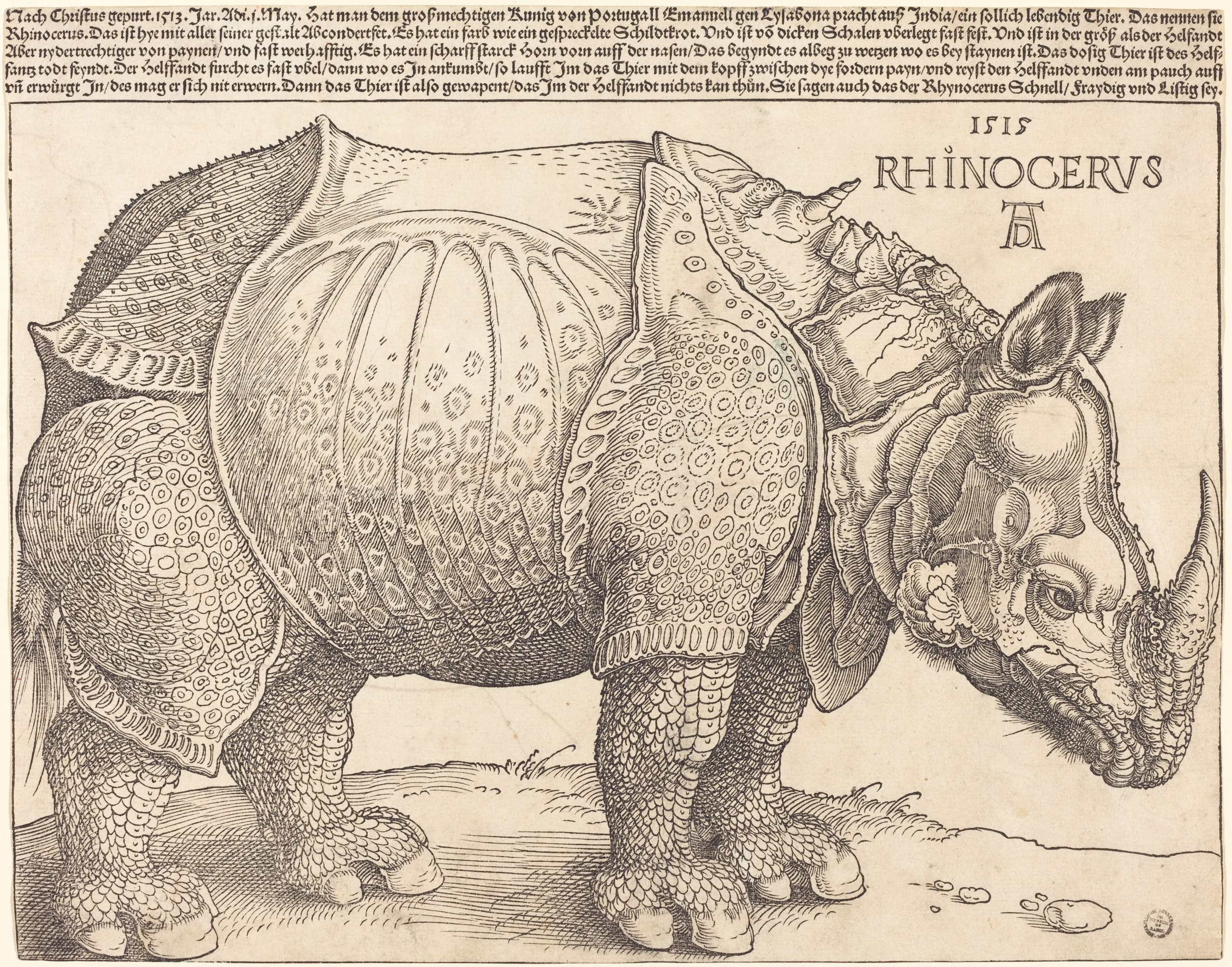 A woodcut print of a rhinoceros shown in profile, its body covered in plates resembling armour with rivet-like marks along the seams, a small twisted horn on its back, scaly legs, and serrated rear quarters.