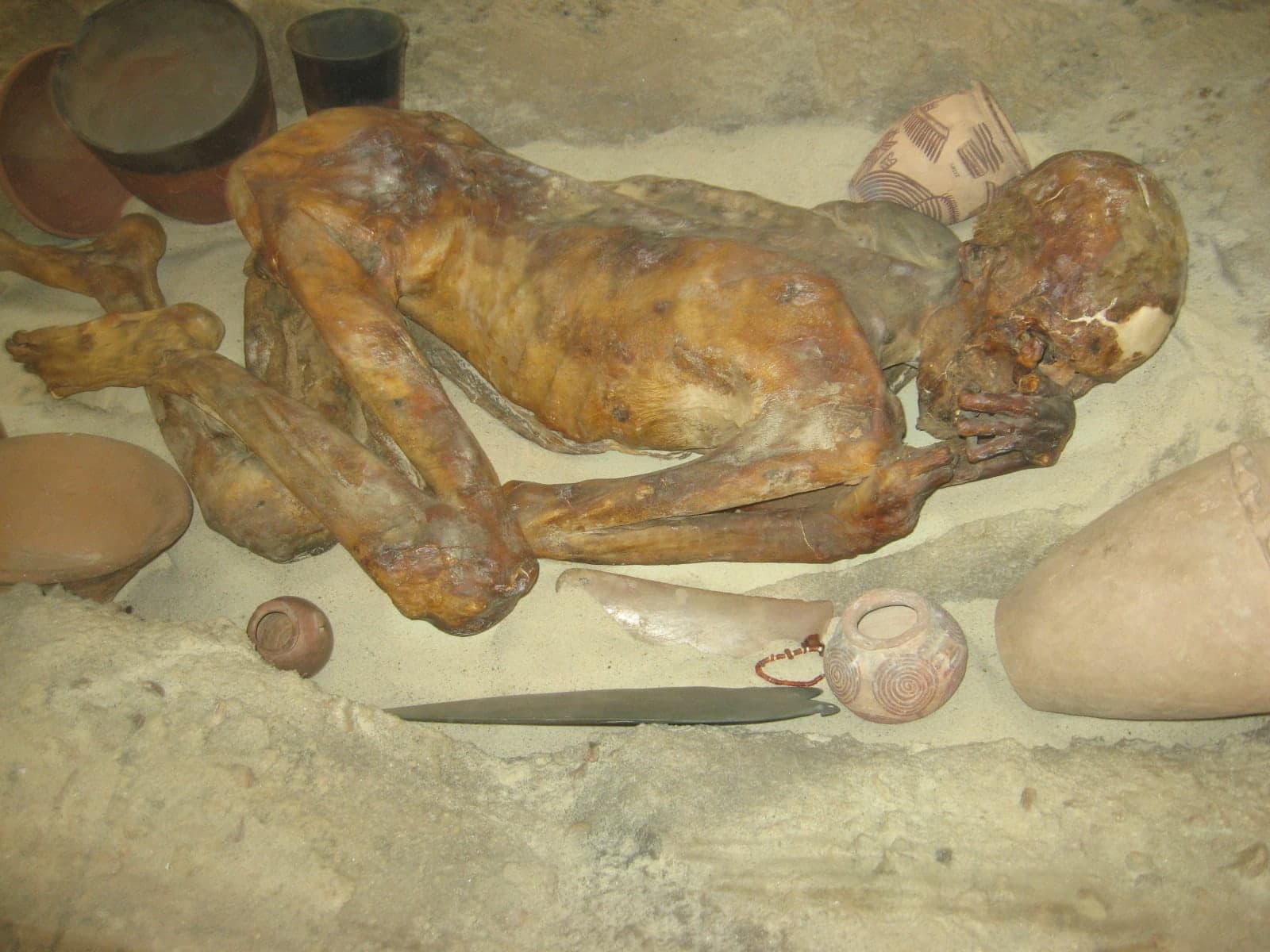 A naturally mummified human body, lying on its left side in a flexed position, with dark brown skin and ginger-coloured hair visible on the scalp.