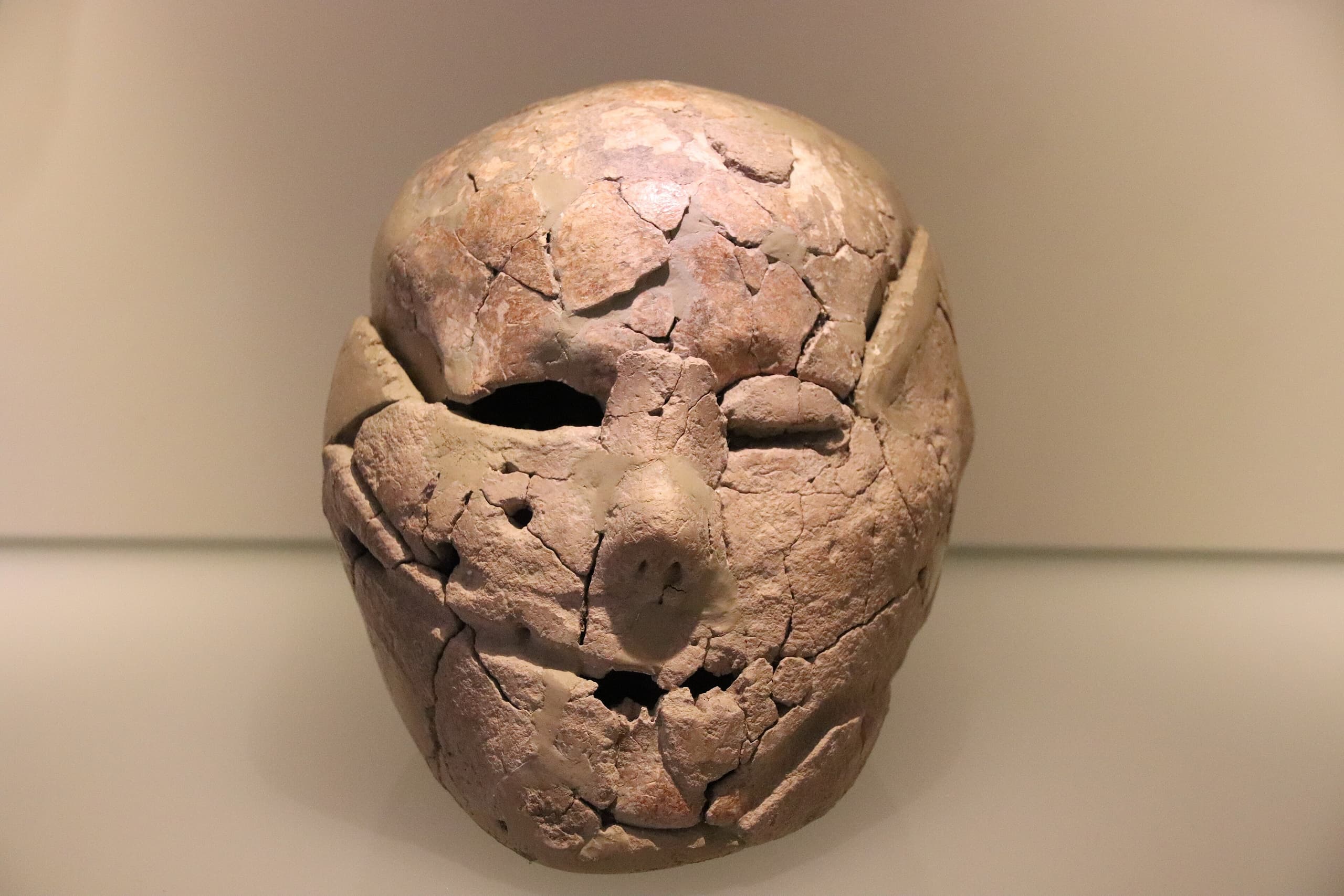 A human skull covered in pale plaster, modelled to suggest facial features, with two cowrie shells set into the eye sockets. The lower jaw is absent.