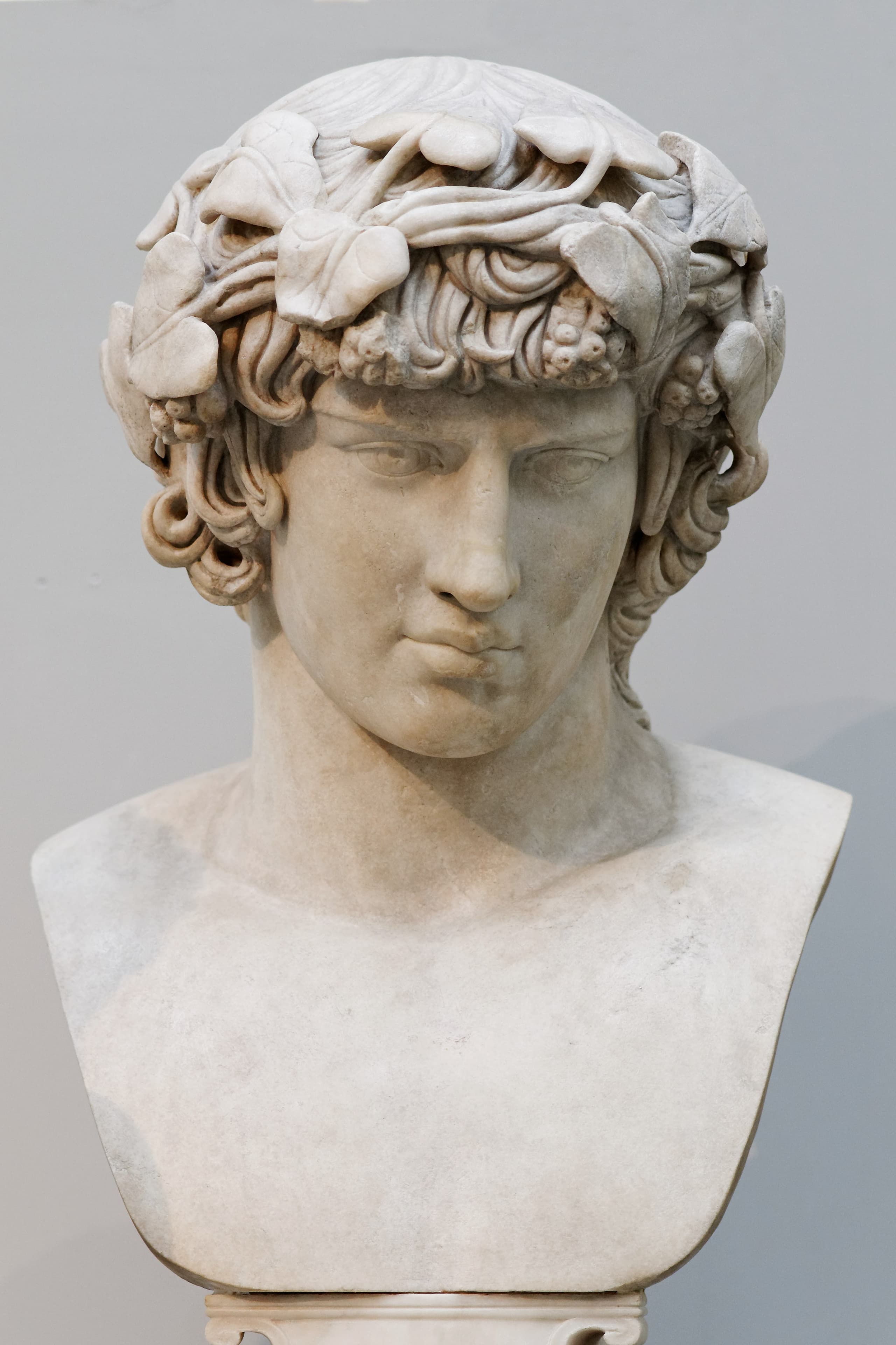 A white marble head of a youth with softly modelled features and an ivy wreath in the hair, set on a plain modern bust against a neutral ground.
