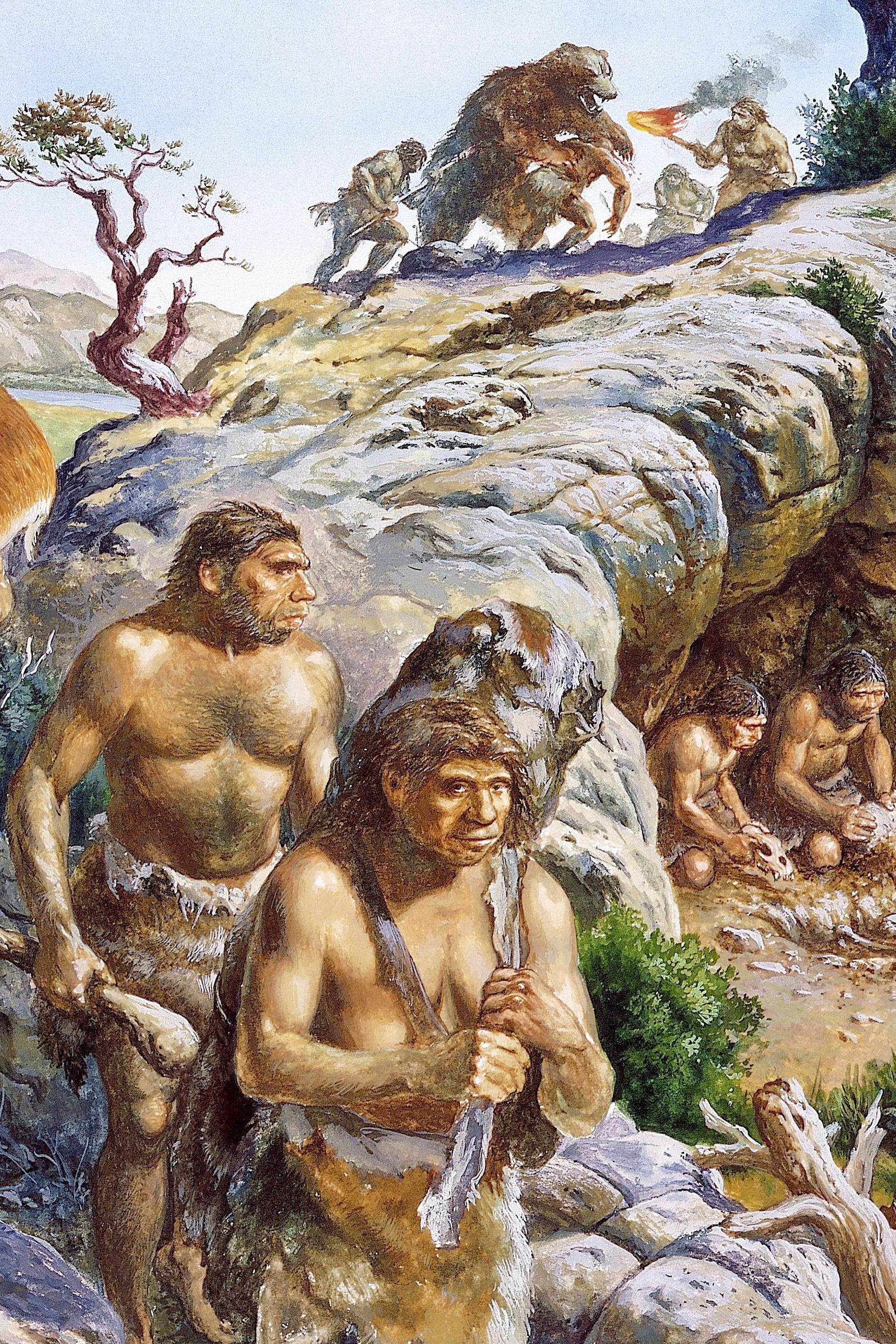 Lascaux cave paintings of animals