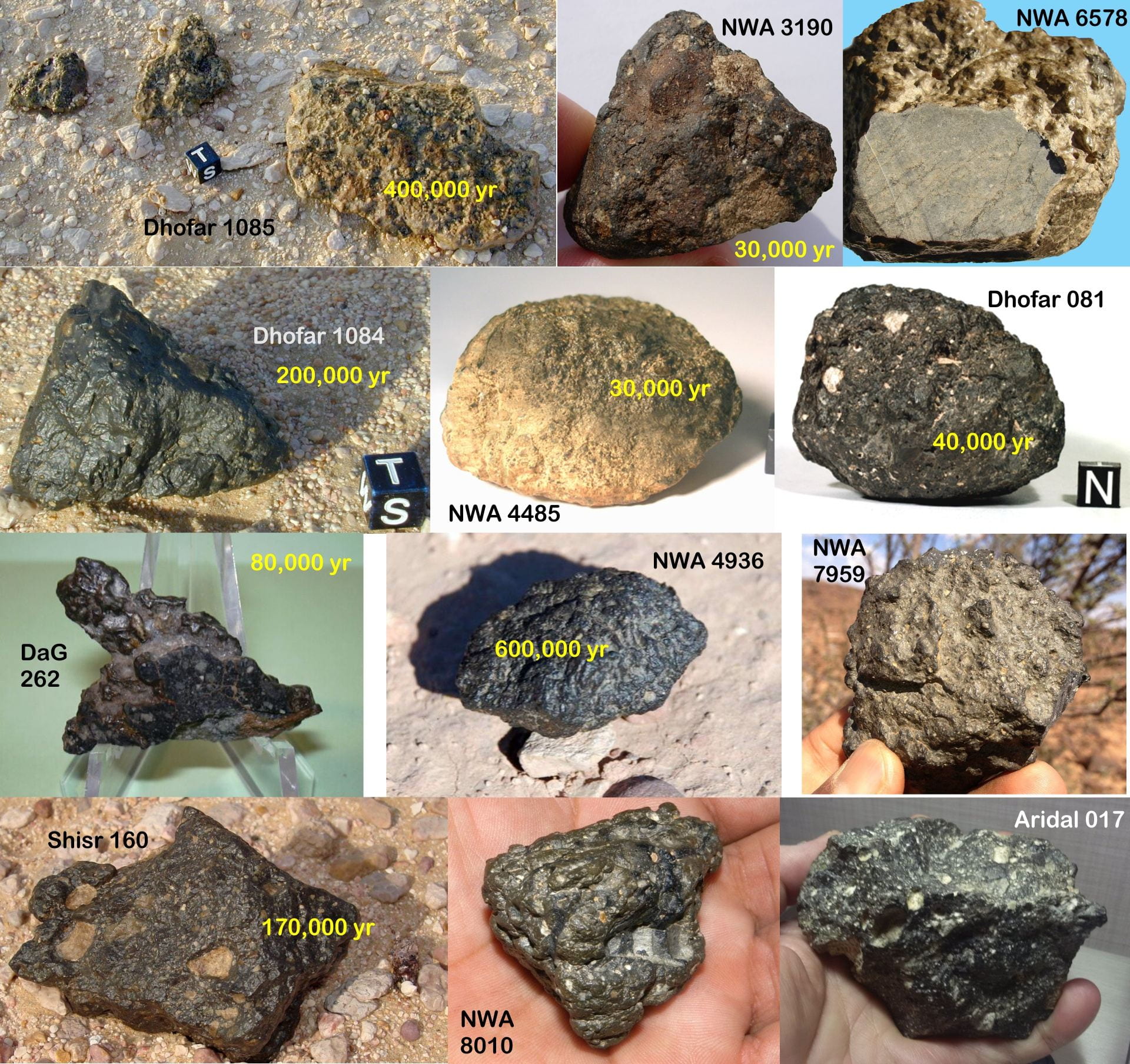 Lunar meteorite collection