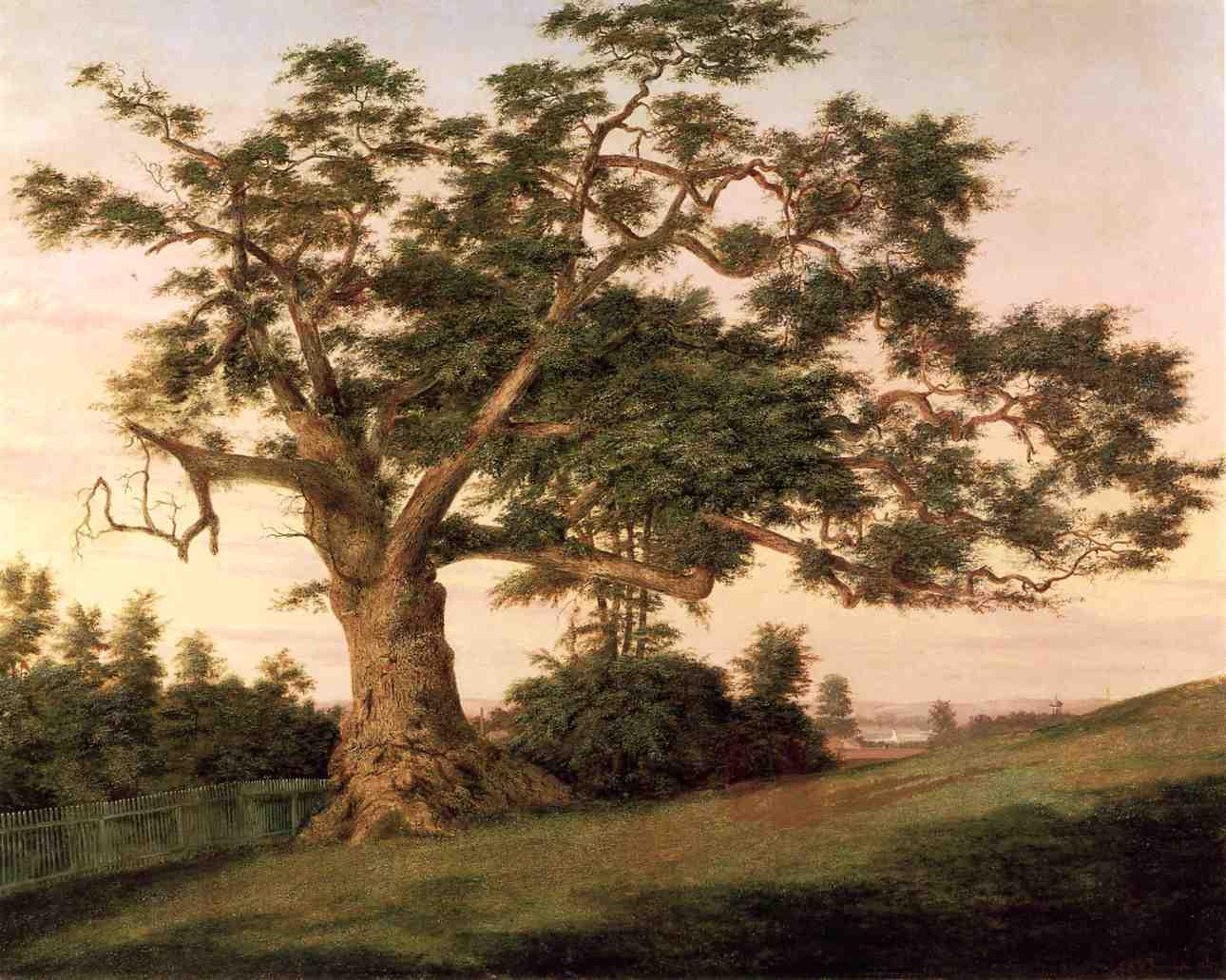 Charter Oak - Wikipedia